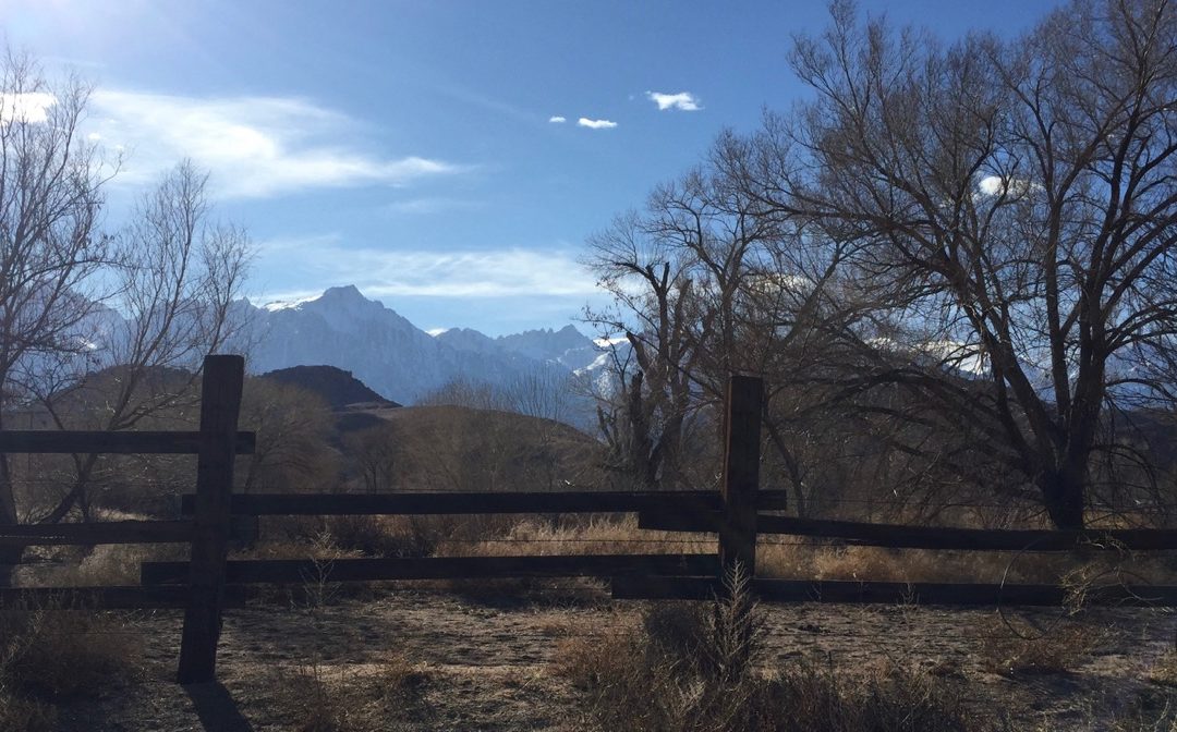US 395