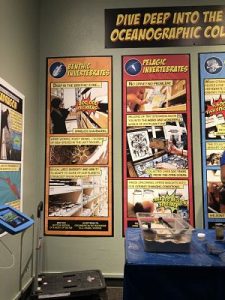 graphic animation displays of scientific topics
